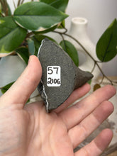 Load image into Gallery viewer, Blueberry Crunch Cluster #57
