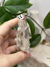Load image into Gallery viewer, Fairy Forest Specimen 1I
