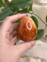Load image into Gallery viewer, Carnelian Egg #46

