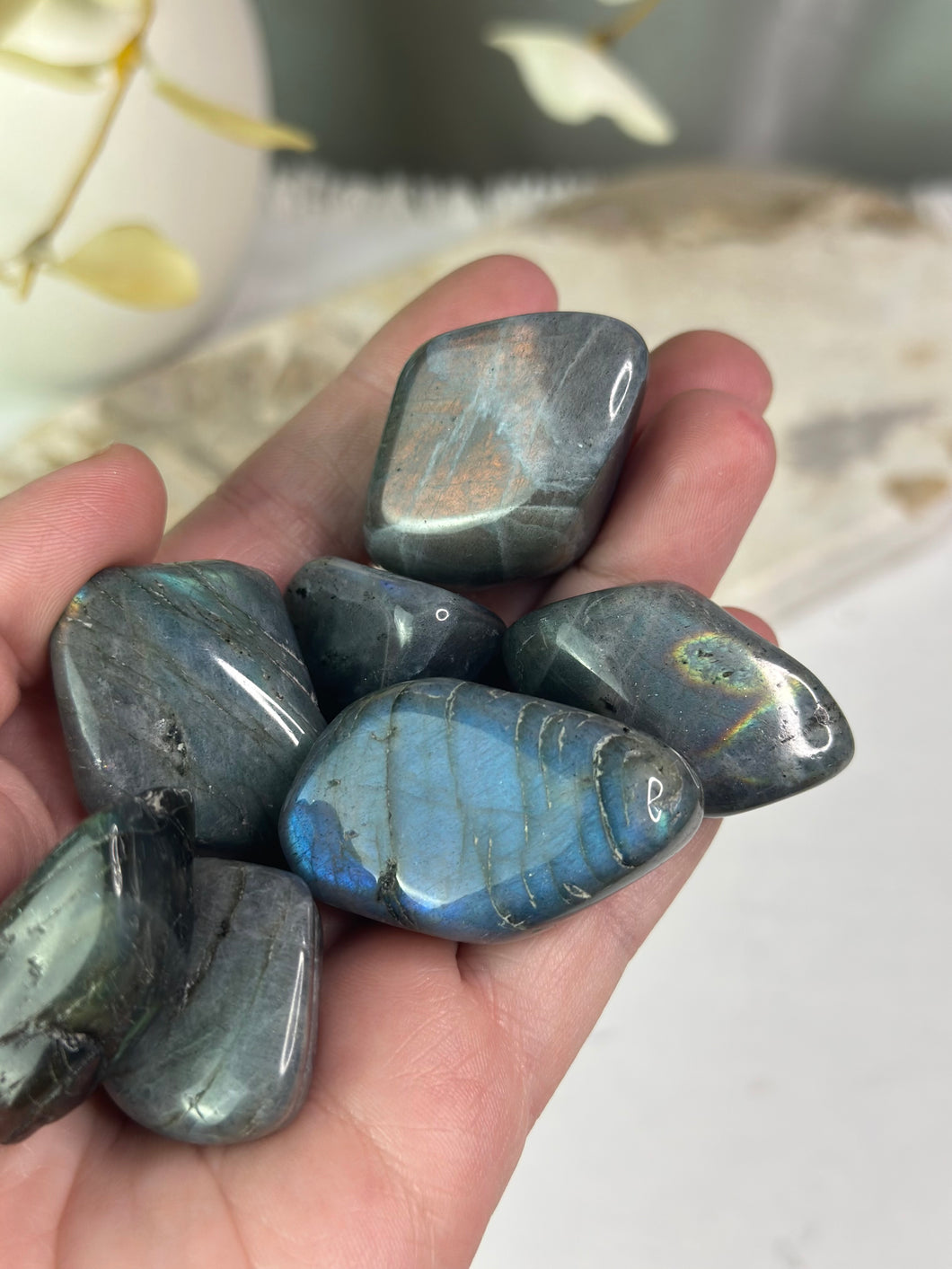 Labradorite Tumbles #6