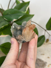 Load image into Gallery viewer, Blue Velvet Mini Cluster #42
