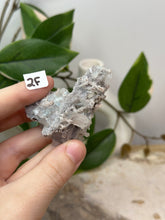 Load image into Gallery viewer, Fairy Forest Specimen 2F
