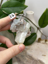 Load image into Gallery viewer, Fairy Forest Specimen 1G
