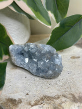 Load image into Gallery viewer, Blue Celestite Cluster #10
