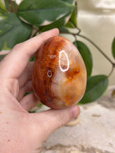 Load image into Gallery viewer, Carnelian Egg #56
