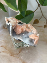 Load image into Gallery viewer, Sugary Peach Stillbite On Vibrant Blue Chalcedony Specimen #55
