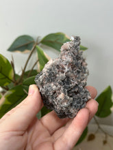 Load image into Gallery viewer, Crystallised Apophyllite~Tiny Peach Stillbite Petals~Pink/Red/Coral/Green Chalcedony Specimens #67
