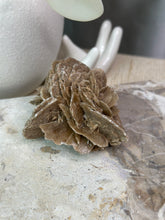 Load image into Gallery viewer, Desert Rose Specimen #14
