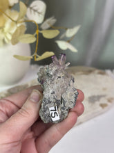Load image into Gallery viewer, Vera Cruz Amethyst Specimen #75
