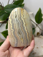 Load image into Gallery viewer, Yellow Crazy Lace Agate Freeform #82
