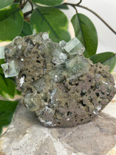 Load image into Gallery viewer, Army Green Apophyllite Cluster #119
