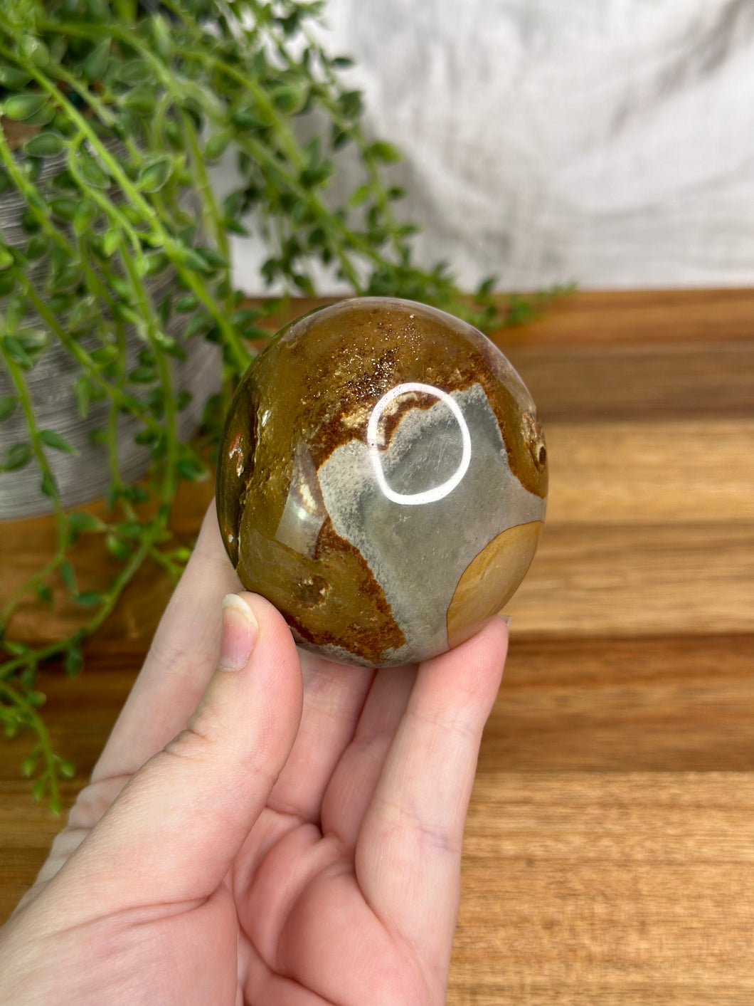 Polychrome Jasper Palmstones #18