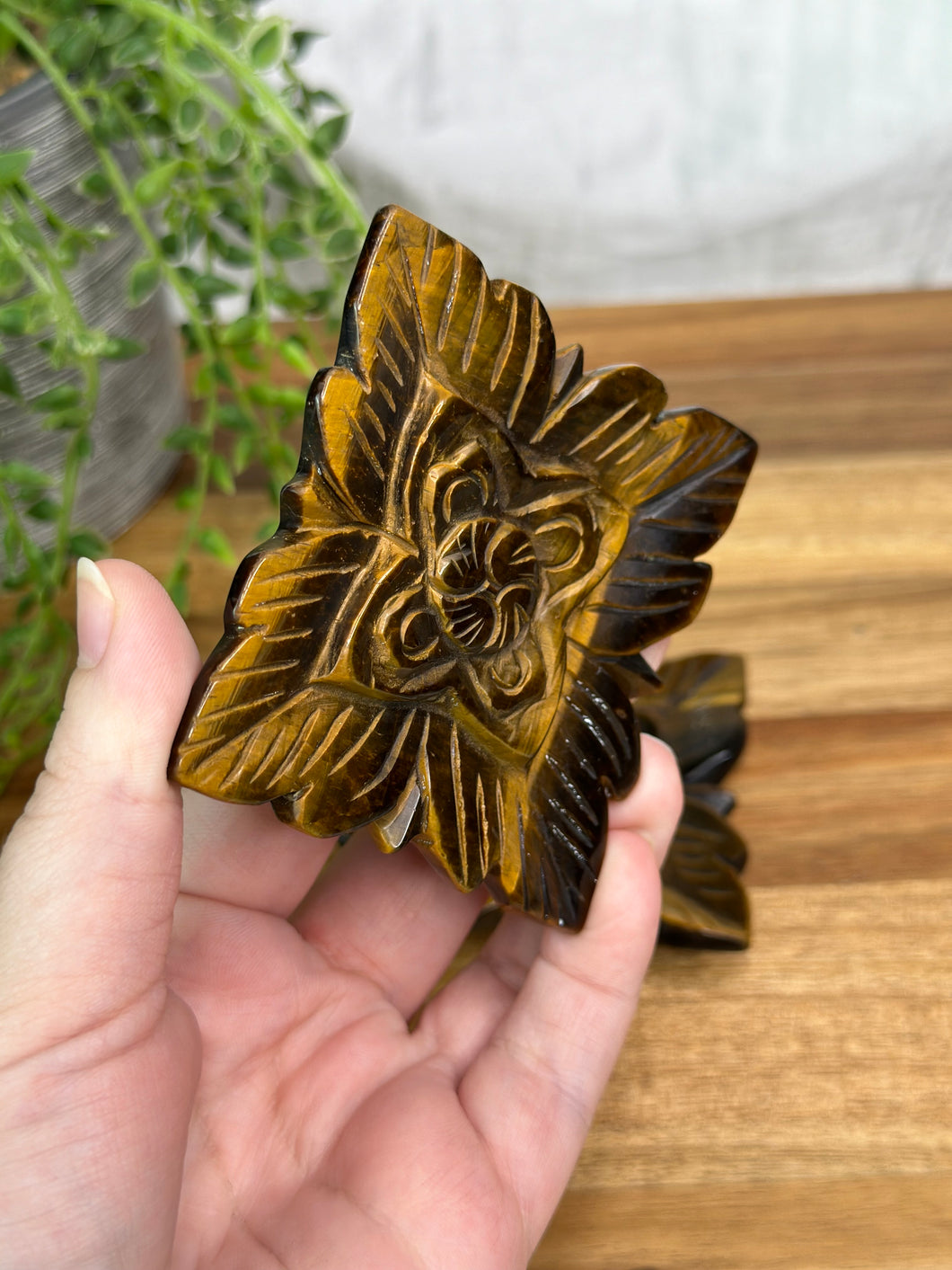 Tigers Eye Lotus