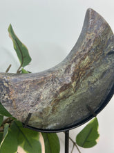 Load image into Gallery viewer, Pink/Moss Agate Moon On Stand #160A
