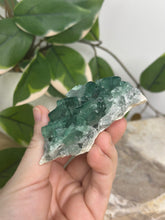 Load image into Gallery viewer, Green Cubic Fluorite Specimen #22
