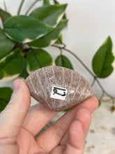 Load image into Gallery viewer, Imperfect Sunstone/Moonstone Sea Shell #12
