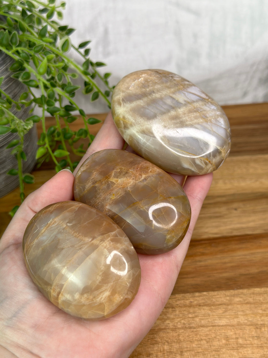 Peach Moonstone Palmstones #13