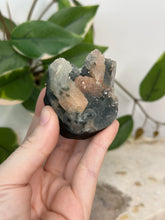 Load image into Gallery viewer, Blue Velvet Mini Cluster #78

