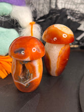 Load image into Gallery viewer, Carnelian Mushrooms #36

