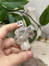 Load image into Gallery viewer, Fairy Forest Specimen 1G
