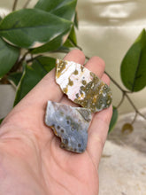 Load image into Gallery viewer, Ocean Jasper Half Polished Slices #6
