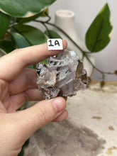 Load image into Gallery viewer, Fairy Forest Specimen 1A
