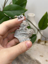 Load image into Gallery viewer, Fairy Forest Specimen 2G
