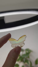 Load and play video in Gallery viewer, Small Iris Agate Butterfly Slice
