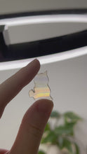 Load and play video in Gallery viewer, Small Iris Agate Cat Slice
