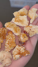 Load and play video in Gallery viewer, Vanadinite Specimens #2.5
