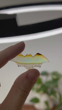 Load and play video in Gallery viewer, Small Iris Agate Bat Slice
